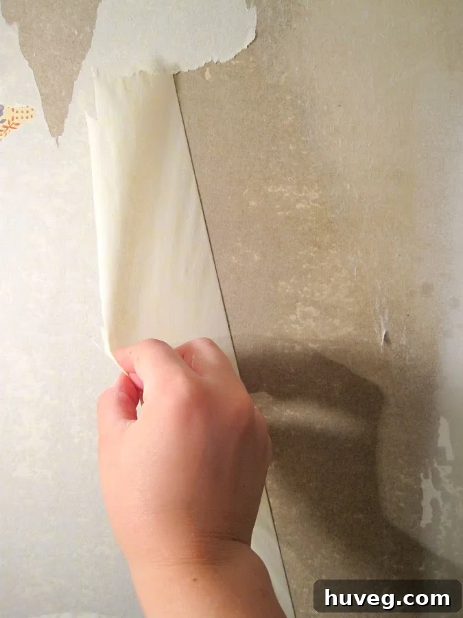 wallpaper removal