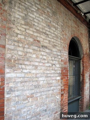 Close-up of weathered teal paint on an antique wooden door in New Orleans, showcasing rich texture and fading color perfect for a rustic gallery wall.