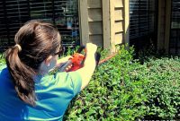 The Thrill of Power Tools