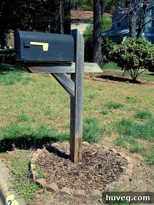 Close-up of pink petunias in a mailbox planter