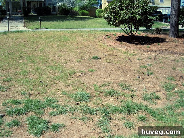 A bag of Scott's Turf Builder Landscaper's Mix South grass seed