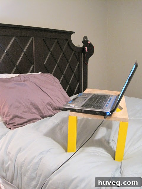 Another view of the repurposed dog dish stand acting as a laptop stand, showing its practicality.