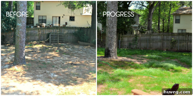 Before and after progress shots of the backyard transformation, showing grass growth