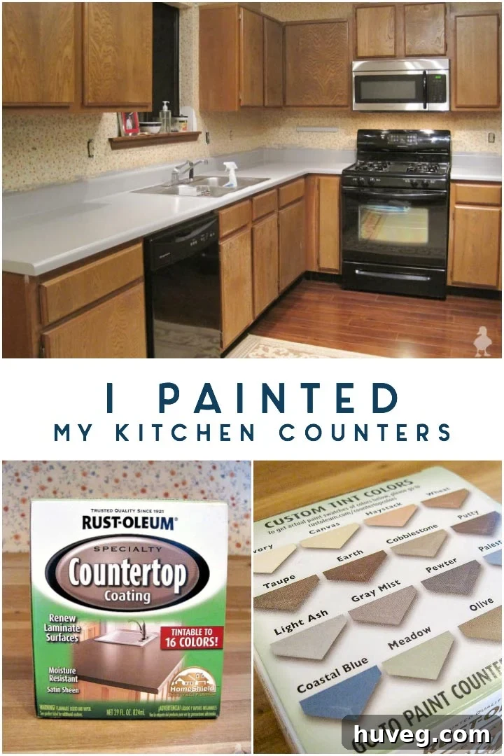 i painted my kitchen counters