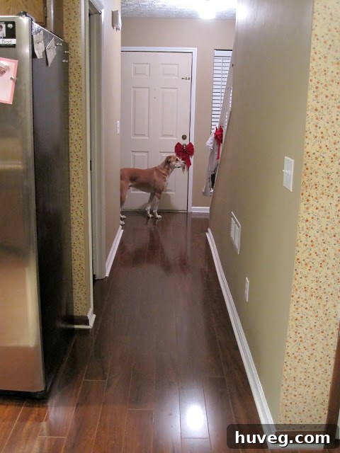 Hallway leading to the kitchen, demonstrating the extensive wall area to be painted.