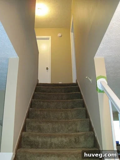 Stairway walls extending upwards, pictured before carpet removal, indicating a large painting surface.