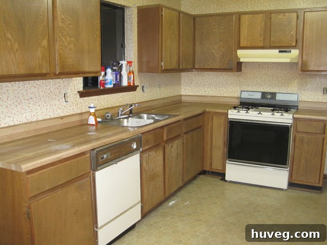 img 1509 1