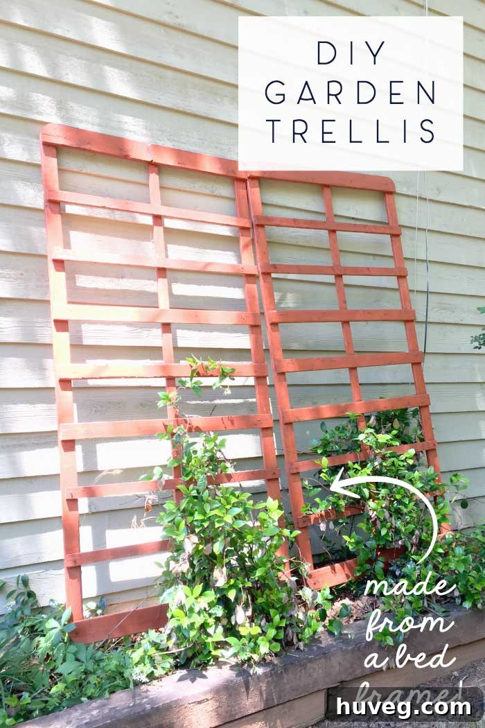 diy garden trellis made from a bed frame