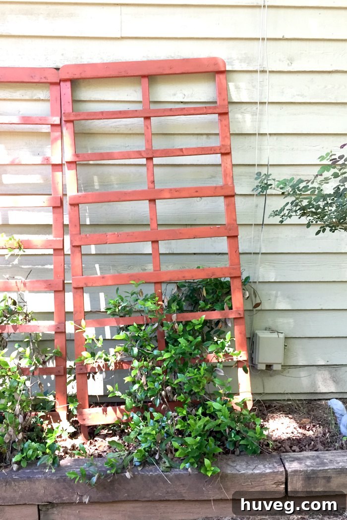 repurposed trellis made from bed frame parts