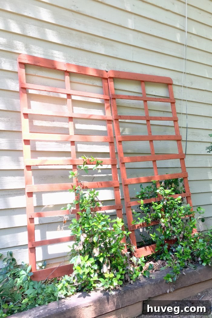 diy garden trellis made from a bed frame
