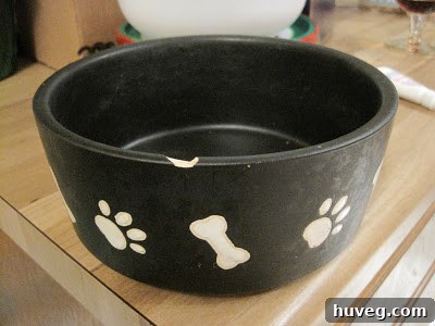 Old ceramic dog bowls showing wear and tear