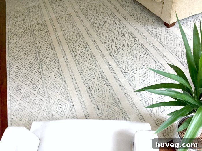 Stunning large block print area rug transforms a modern living room