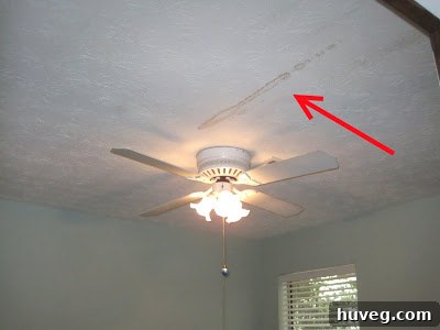 Ceiling stain from AC leak in the craft room