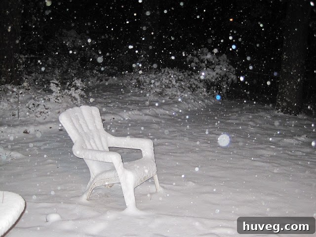 A serene backyard covered in fresh snow at night in Atlanta