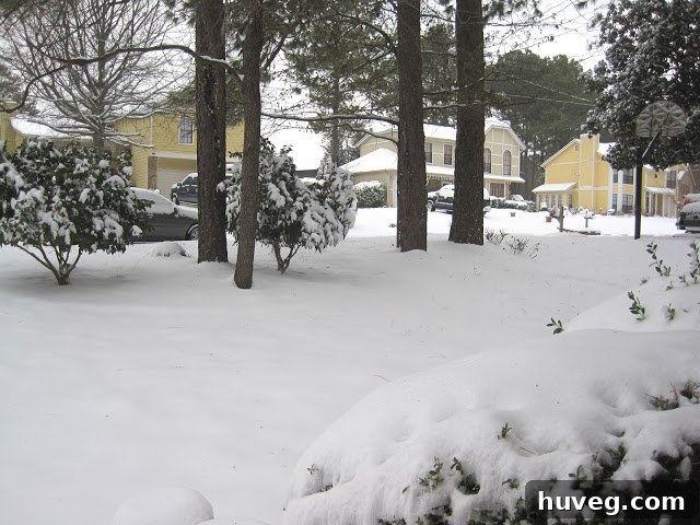Close-up view of snow settled on the roof and eaves of a cozy Atlanta home