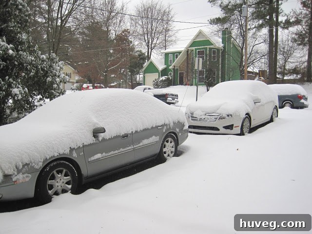 Another perspective of the house, showcasing snow-covered trees and the front yard