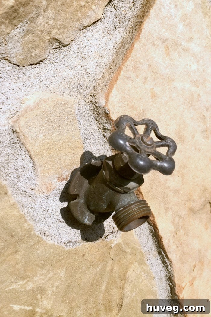 old leaking outdoor faucet