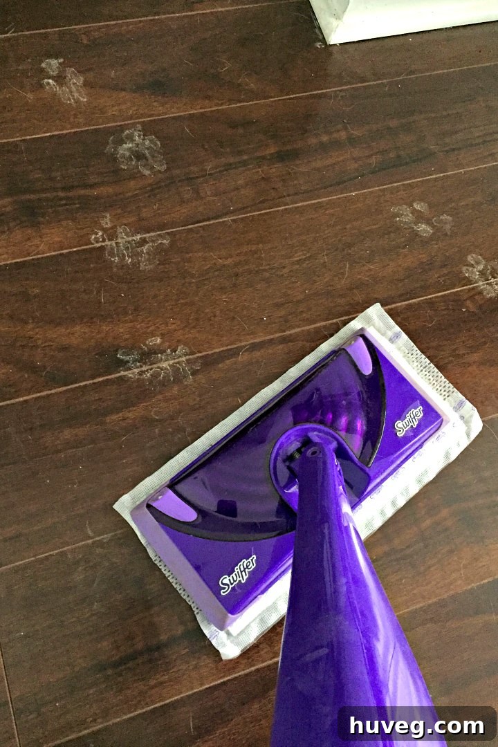 Using a Swiffer Wet Jet to clean muddy paw prints off a floor