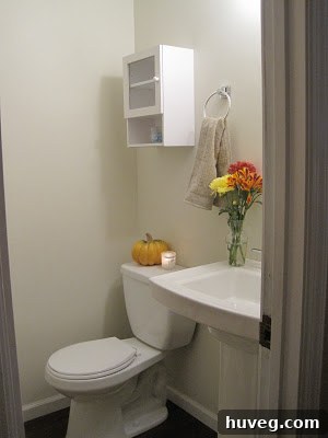 Beautifully finished powder room after its creative renovation