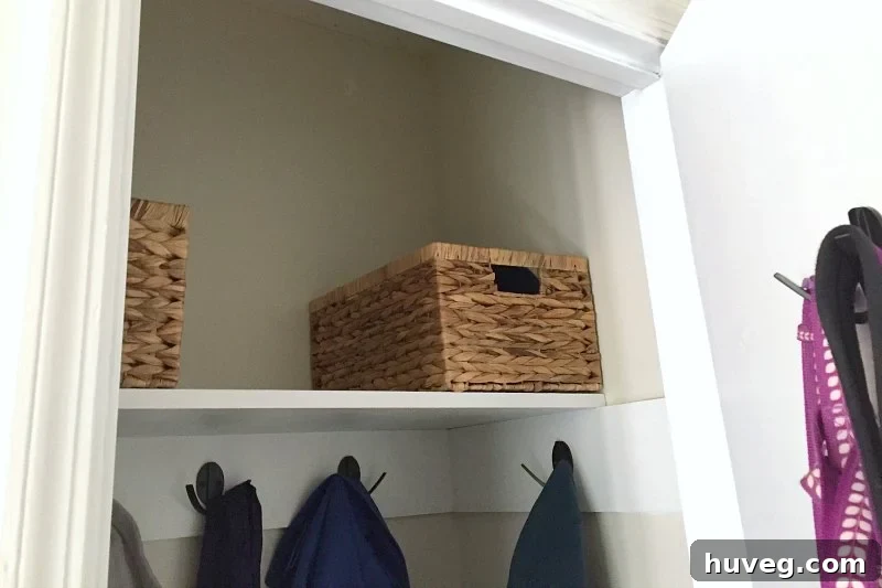 A close-up view of elegant GAIA Contemporary Home storage baskets neatly arranged in an entryway closet, demonstrating effective and stylish organization
