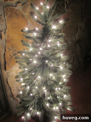 Close-up of a tree branch being adorned with festive lights