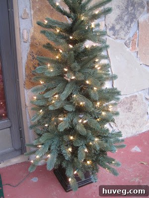 Pre-lit outdoor Christmas tree by the front door, with power wires neatly hidden under a welcome mat.