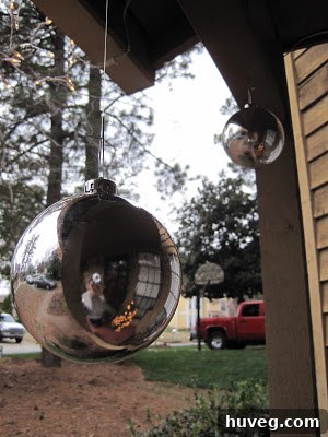 Reflection of a person taking a photo in a shiny, silver reflective Christmas ornament hanging on a porch.