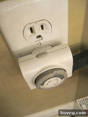 img 1578 6