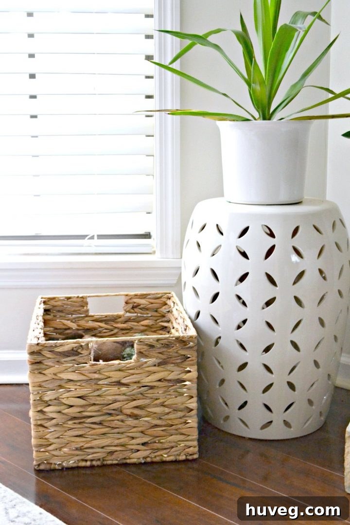 Stylish woven basket filled with dog toys in a clean living room corner