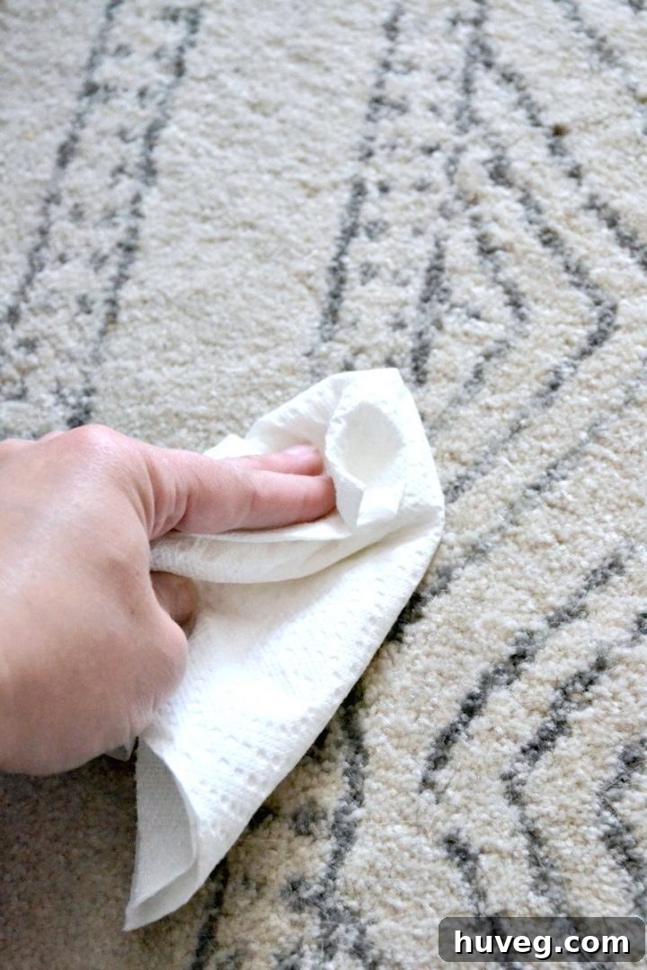 Close-up of a hand dabbing a rug with a towel to lift a stain