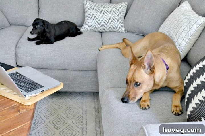 everyone is figuring out how to sit comfortably on the new couch