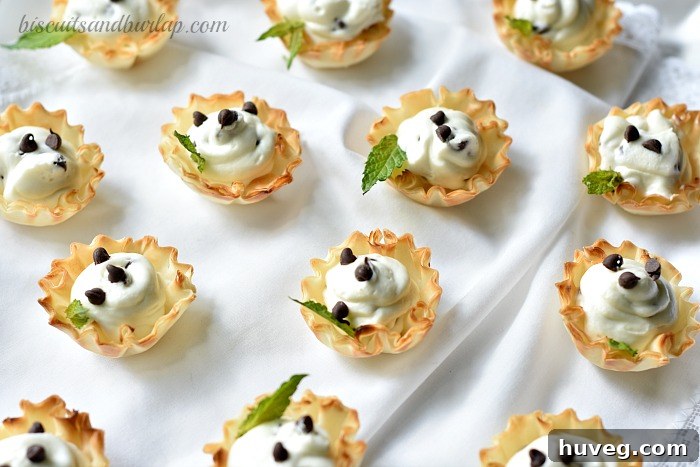 Irresistible Mini Chocolate Chip Cheesecakes for parties