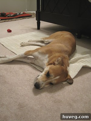 img 1593 1