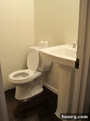 New toilet installed in the renovated powder room.