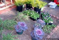 Garden Glow-Up