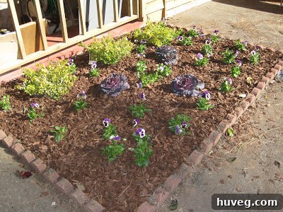 After image of the front garden area, showcasing a vibrant and beautifully landscaped space