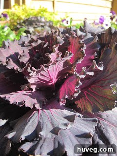 Another angle of the refreshed fall garden, highlighting texture and color