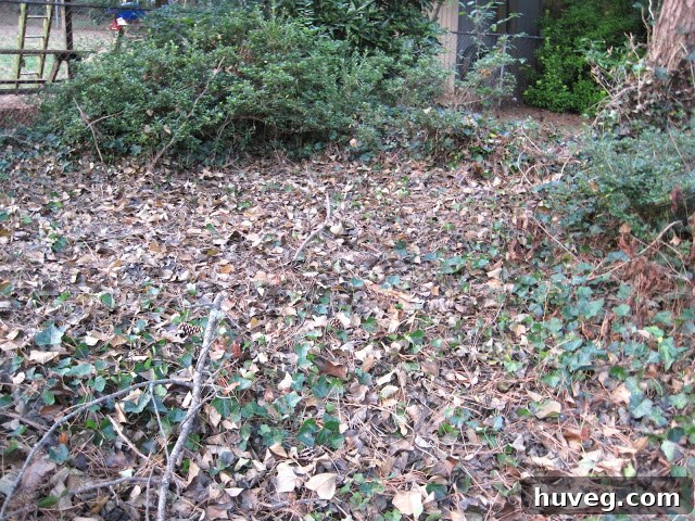 img 1621 1