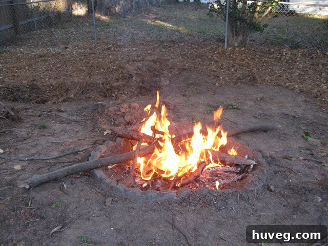 Burning pine straw in the fire pit