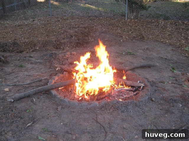 Smoke from burning pine straw