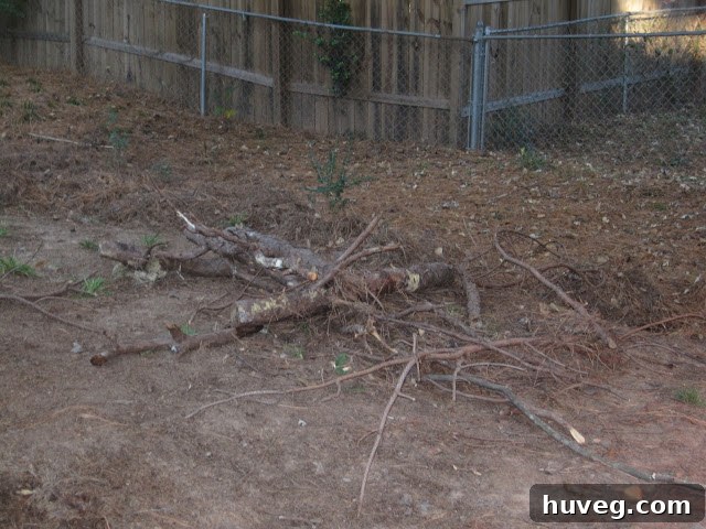 A neatly organized stack of firewood and collected sticks, ready for use in a new fire pit