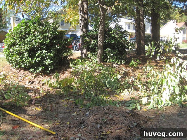A large, somewhat messy pile of raked fall leaves, showing the result of extensive yard cleanup
