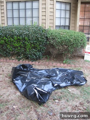 Rolls of black moisture barrier laid out on the ground near the house.
