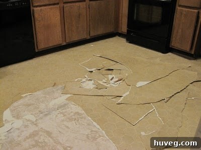 Kitchen floor in state of renovation, revealing the raw subfloor