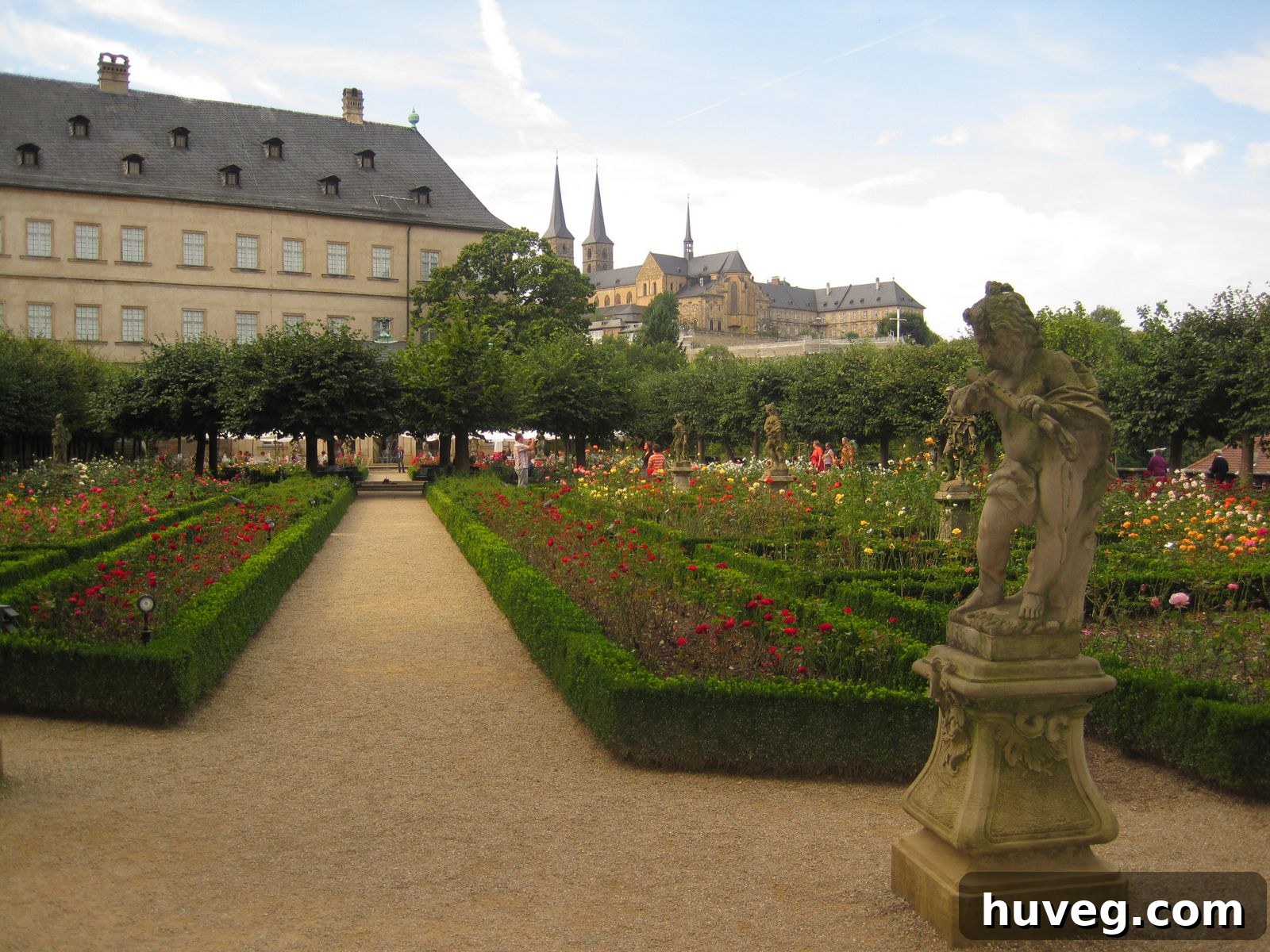 Rose garden with blooming flowers and historic city view