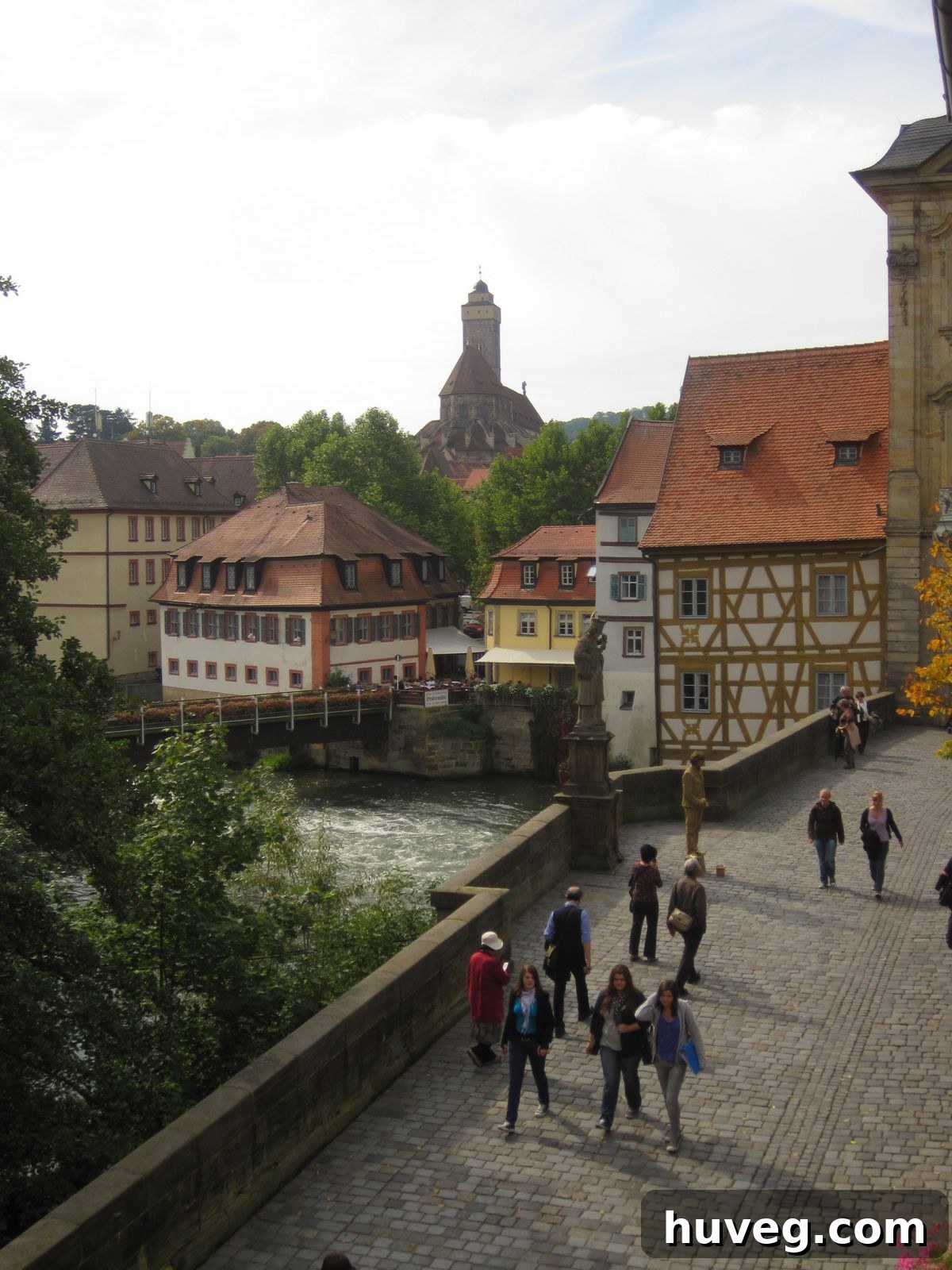 View of Bamberg's old town from an apartment window