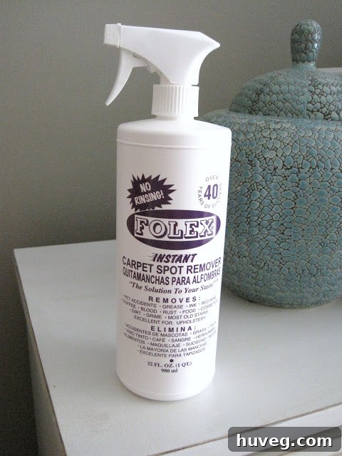 Ketchup stain prominently displayed on a light-colored carpet in a guest bedroom