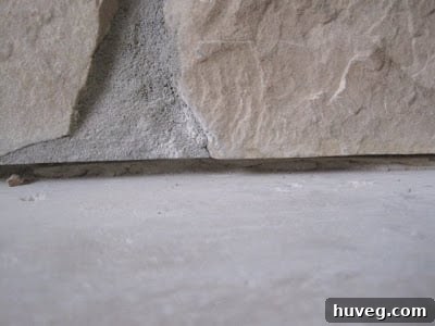 img 1673 4