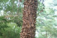 Withered Embrace
