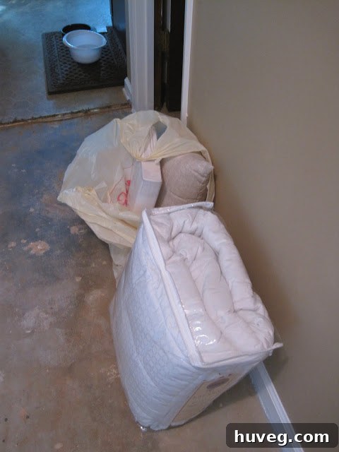 img 1692 1